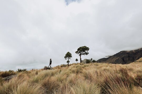 Tour image 1